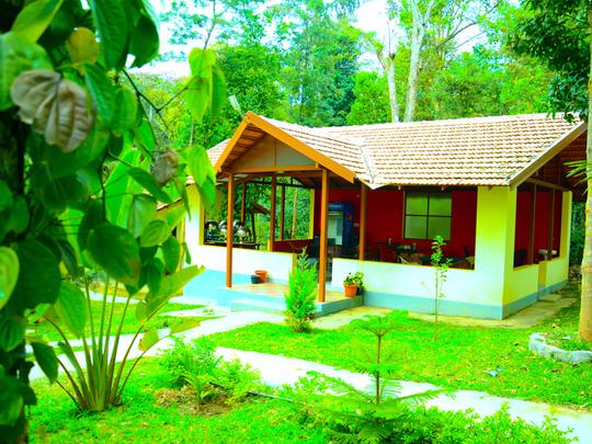 Nature Cottages Swimming Pool and Adventures in Chikmagalur