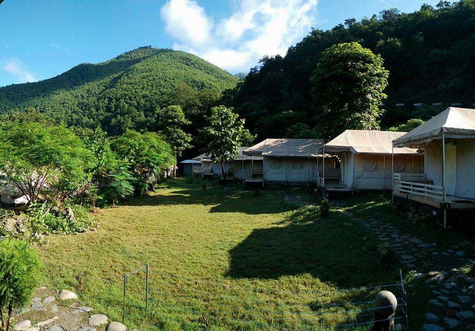 Banyan By The Ganges