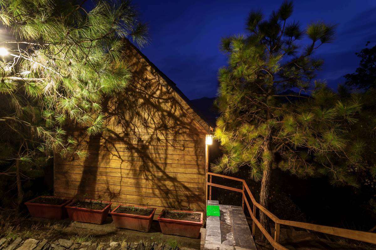 Suro Treehouse Resort