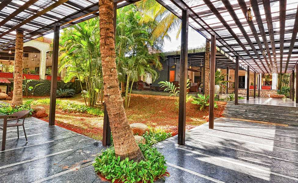 The Windflower Prakruthi