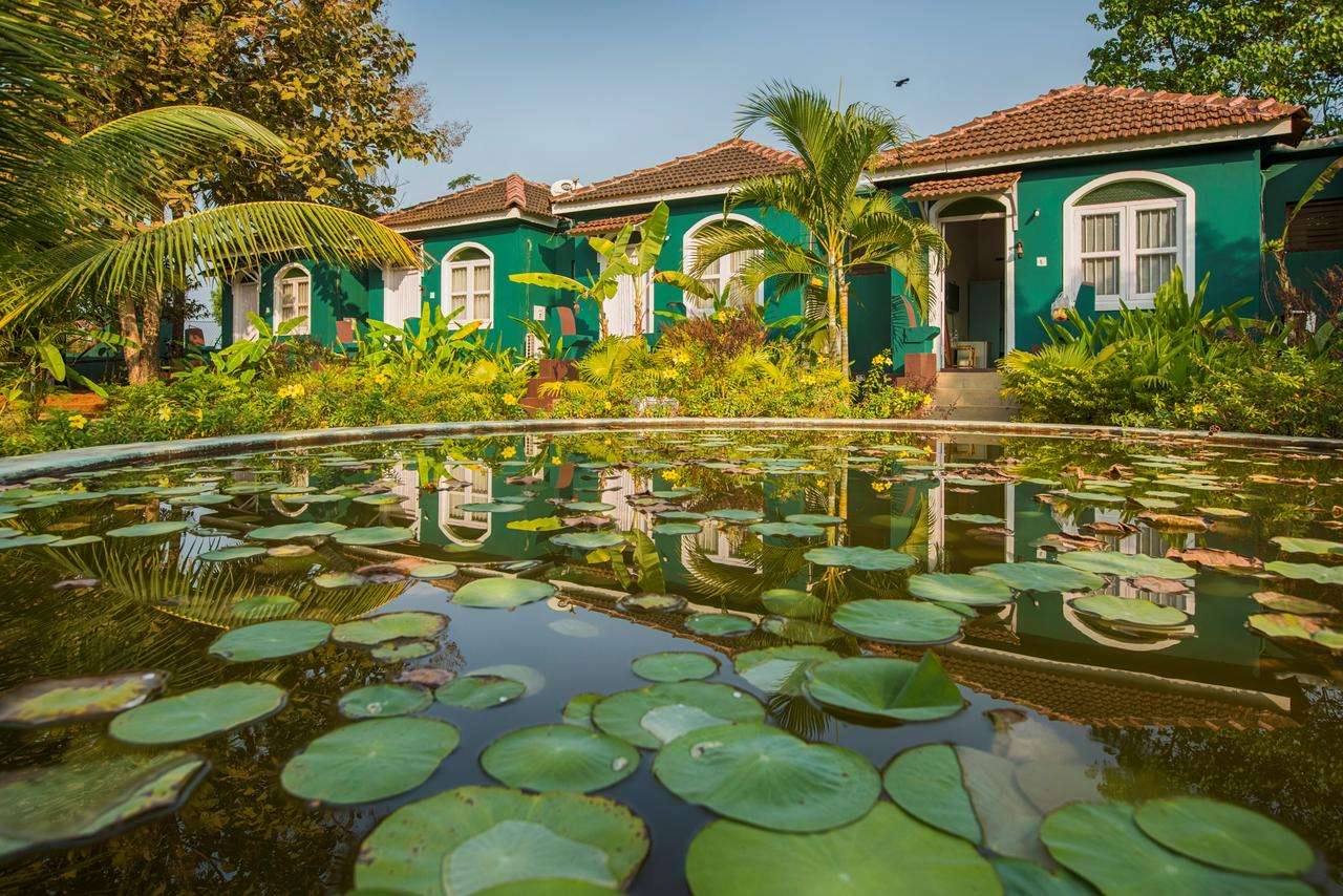 Aquatica Resort & Spa