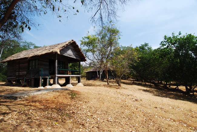 Bheemeshwari Adventure and Nature Camp