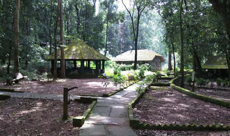 Anejhari Butterfly Camp, Udupi