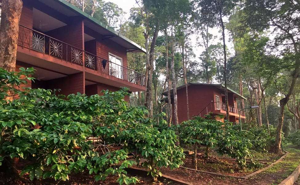 Machaan Resort, Nagarhole