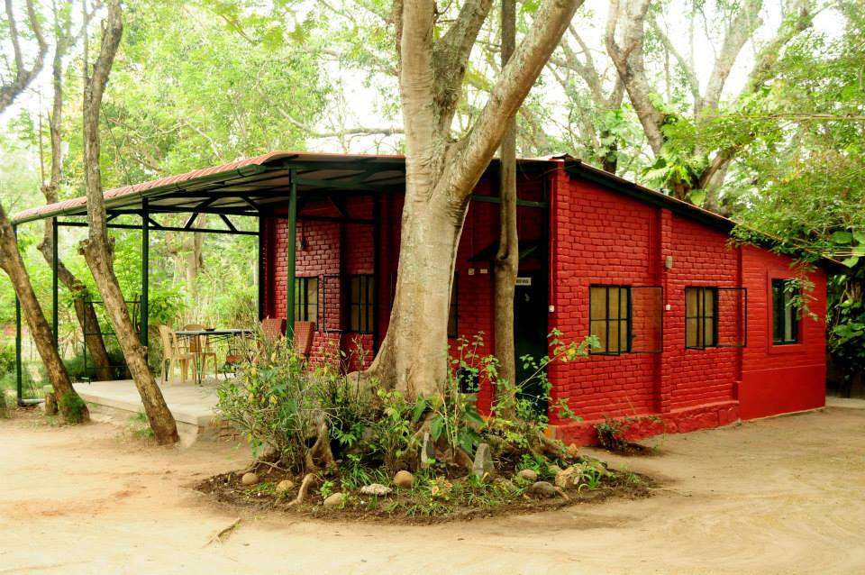 Bamboo Banks Farms & Guest House