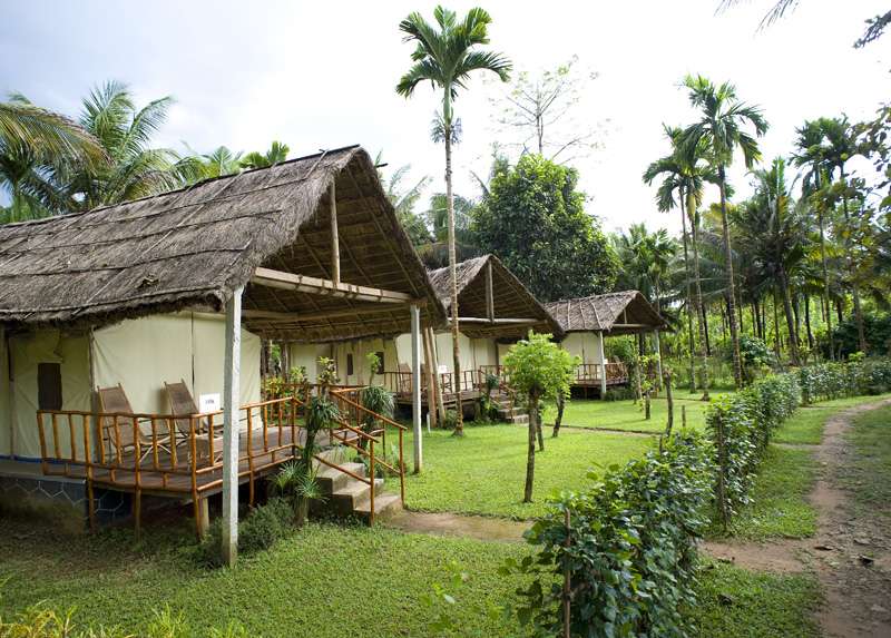 Hornbill Camp, Thattekkad, Kerala