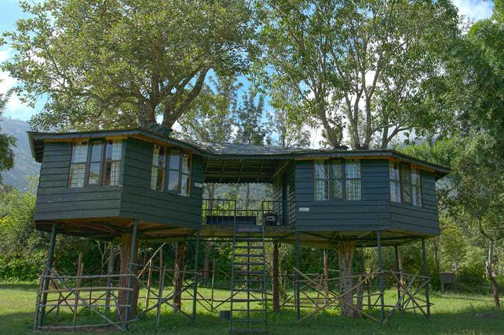 Forest Hills Farm & Guesthouse