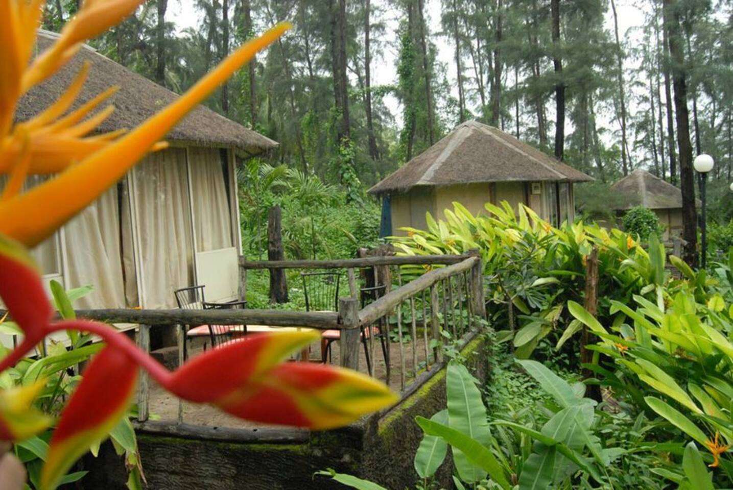 Exotica Beach Resort