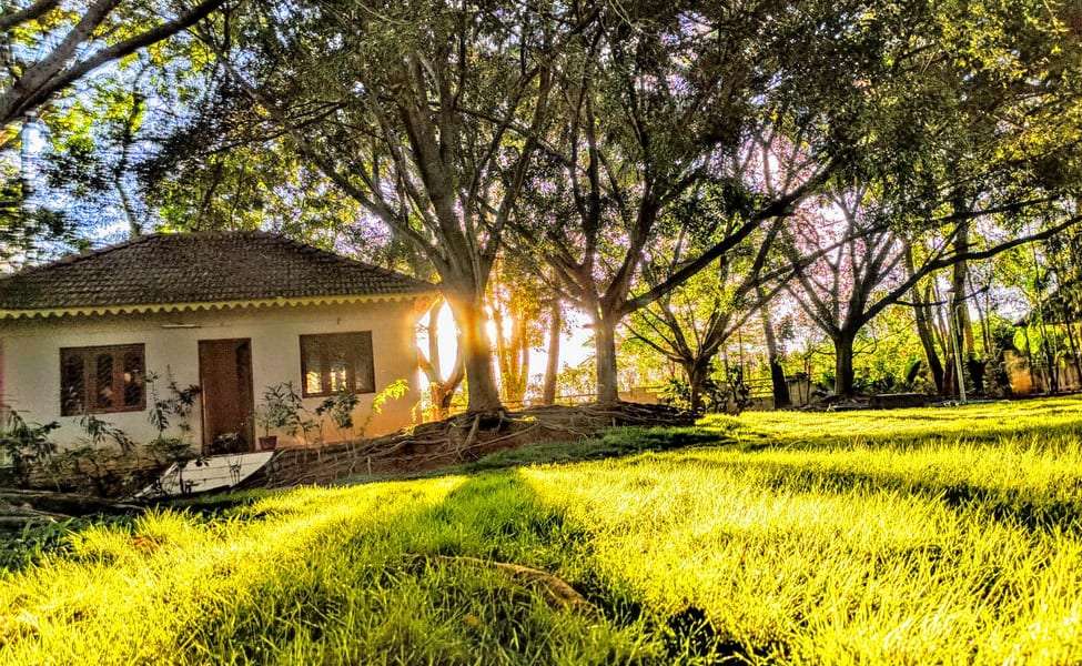 Gold Coins Club & Resort