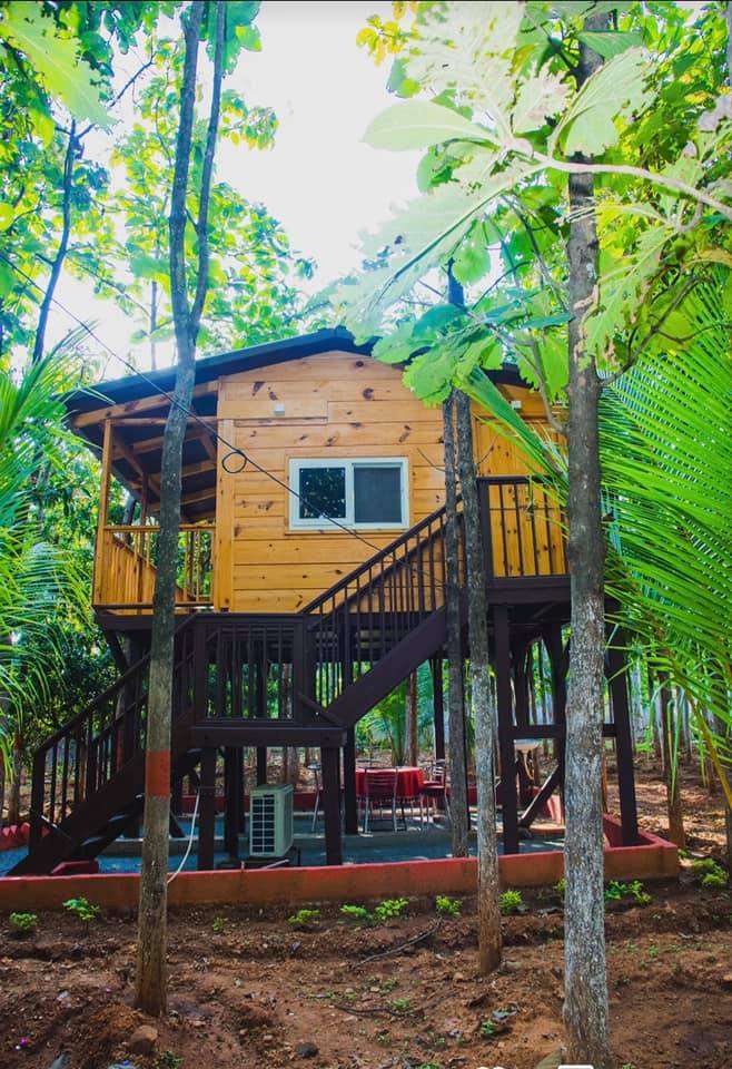 Vatika Club and Resort