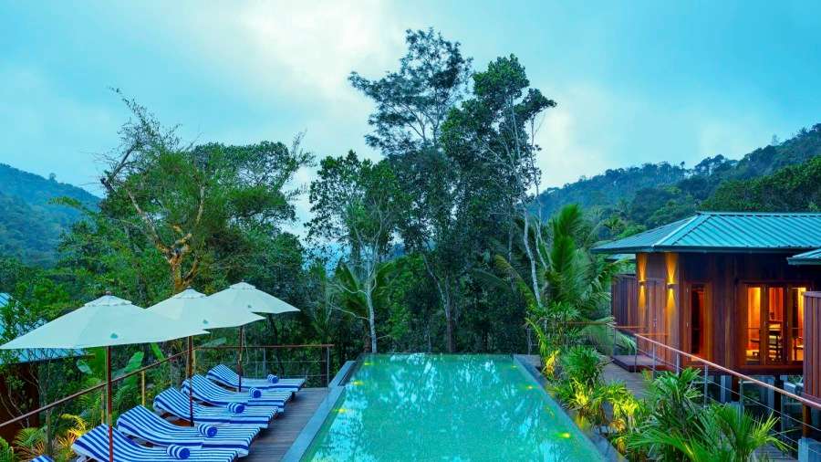 Nirmaaya Retreats Cardamom Club