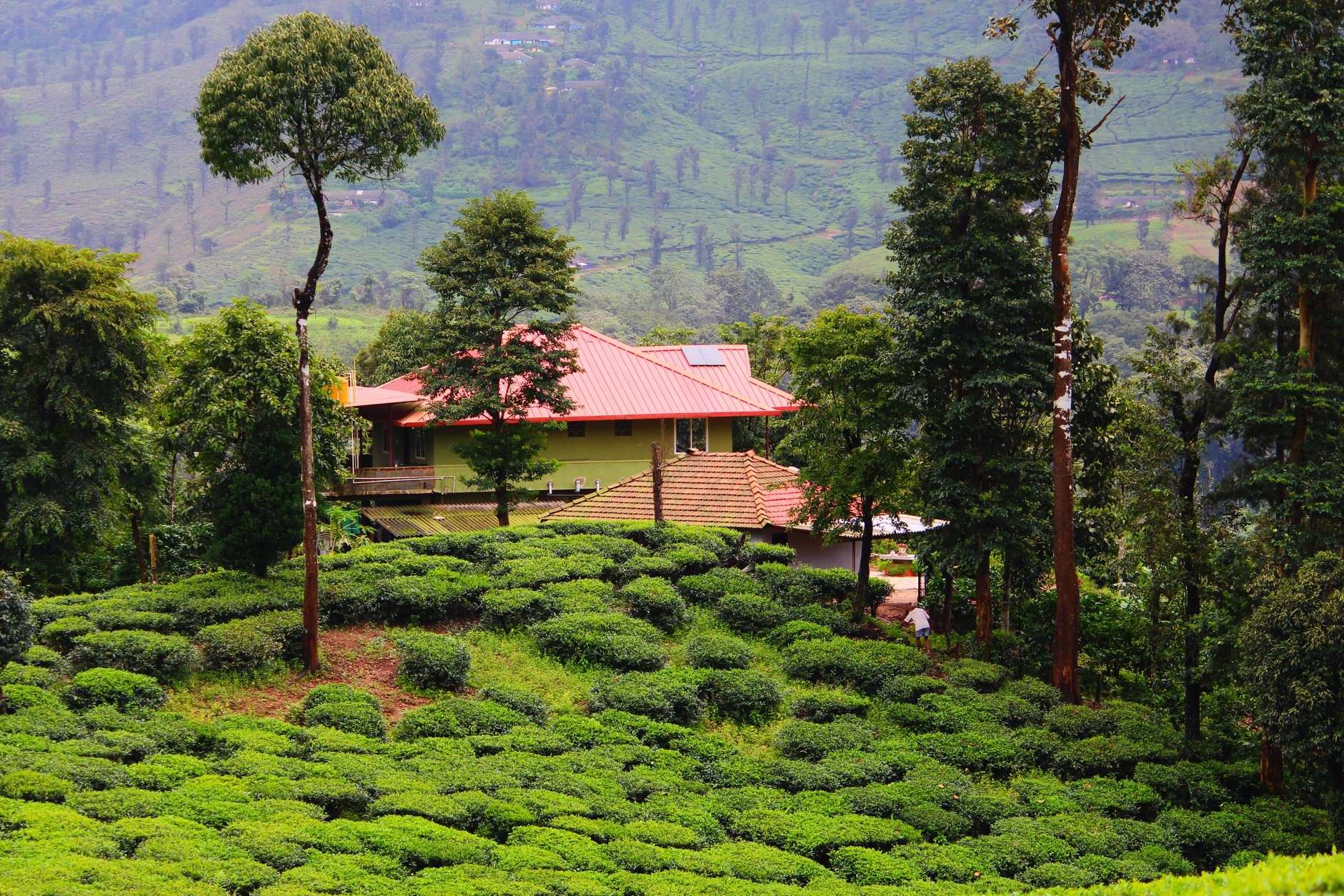 Hasiru Thaana Homestay