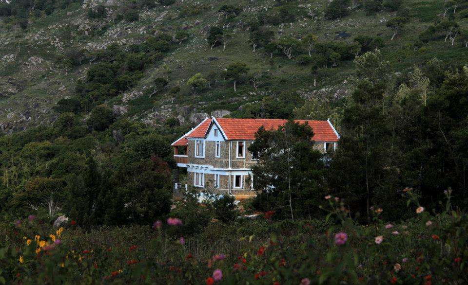 Wild Walkers by Vista Rooms