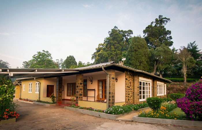 Cloud Mountain Bungalow