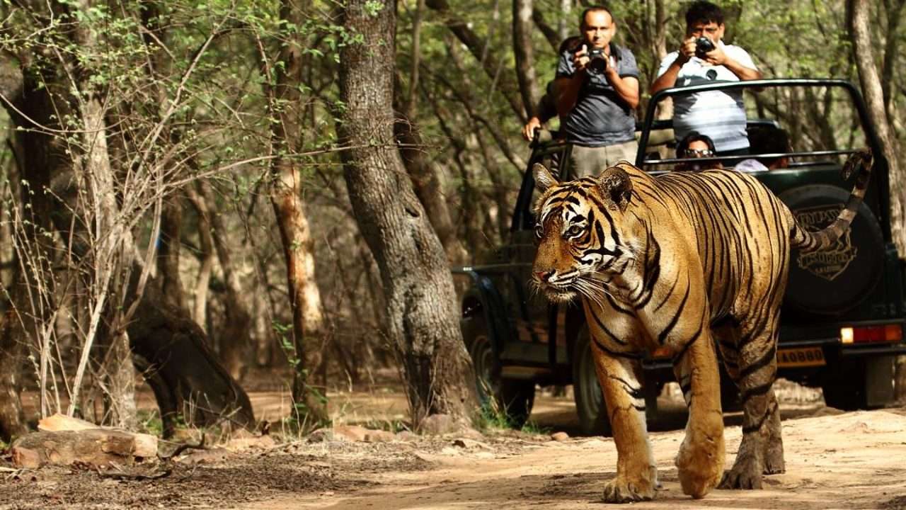 Udaypur Wildlife Sanctuary Tour