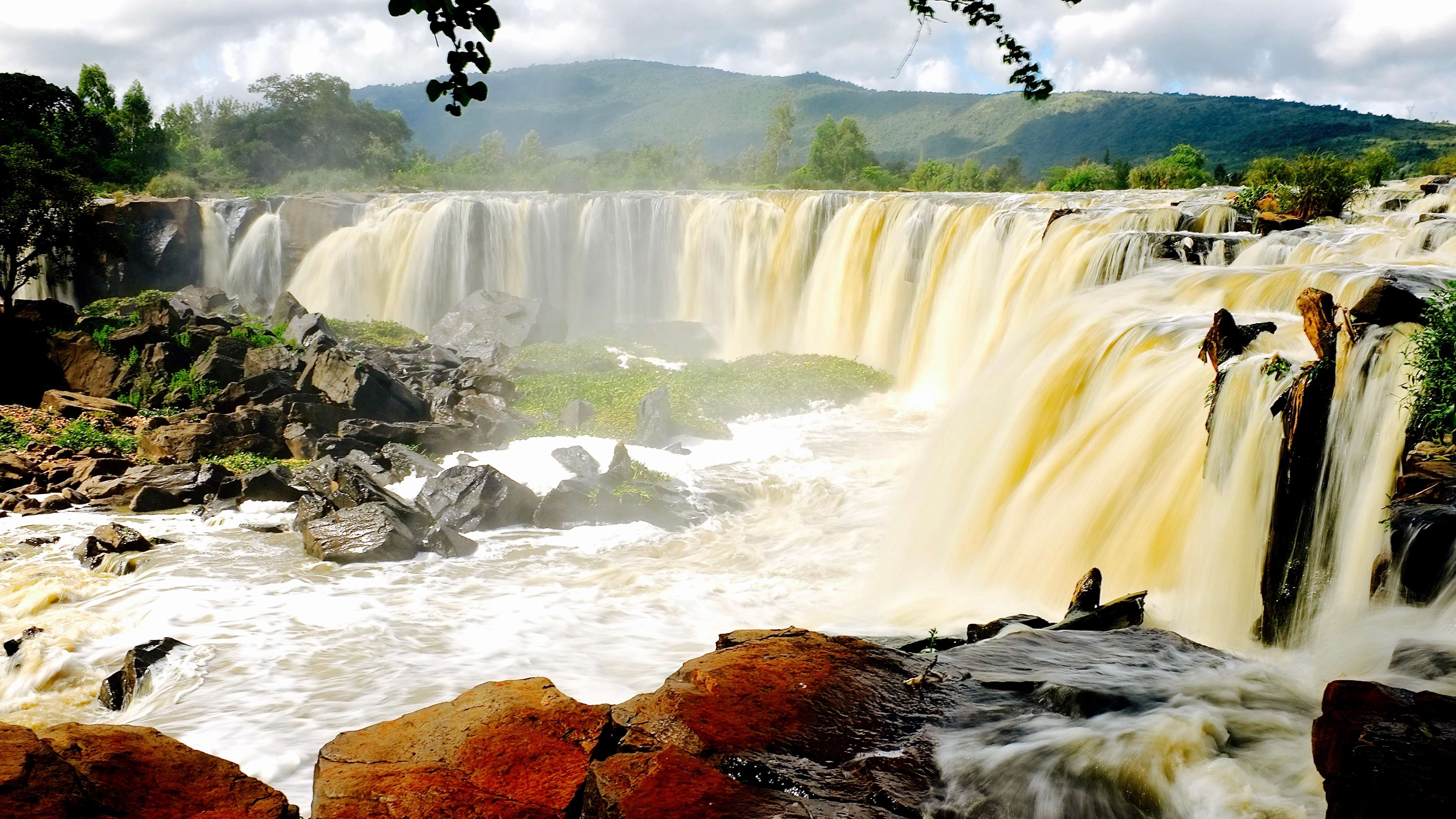 1612436061 shutterstock 1247112625