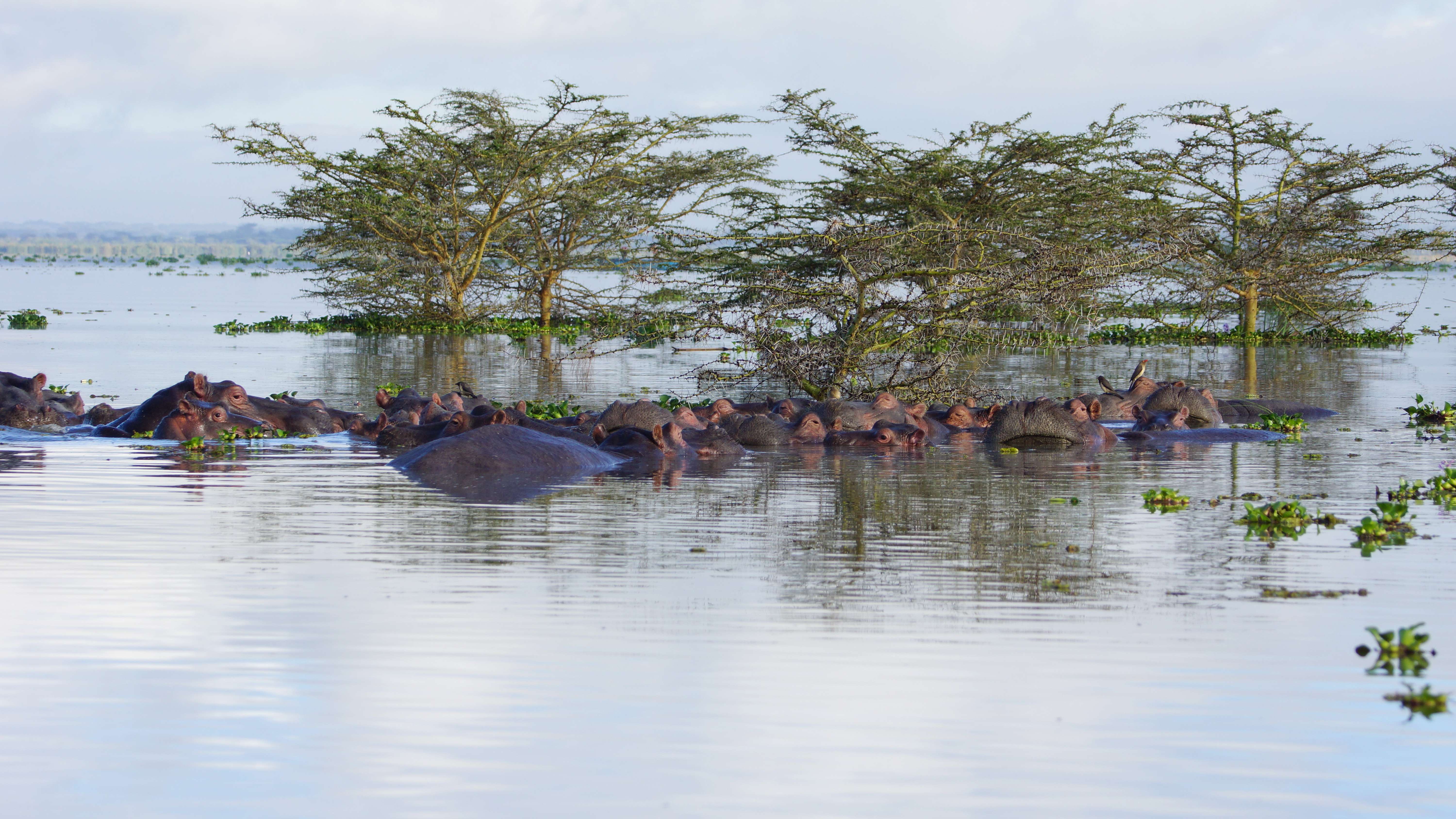 1620315325 shutterstock 543512989