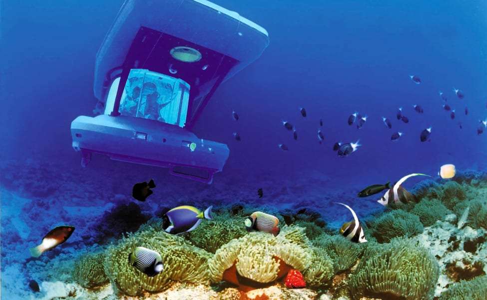 Underwater World In A Submarine