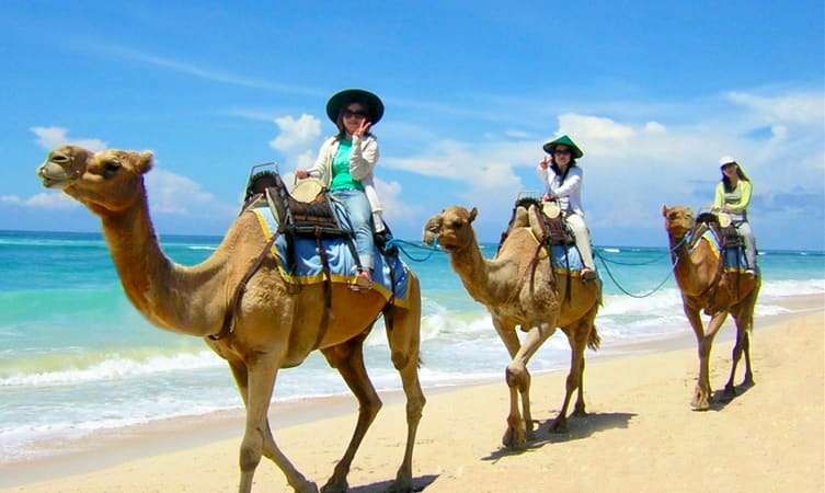 Camel Ride on Nikko Beach