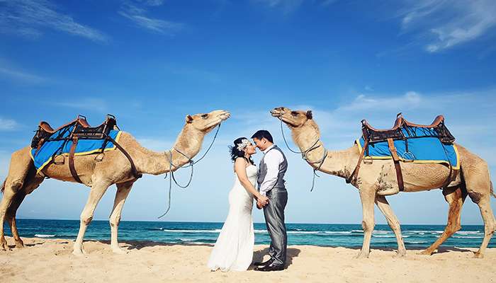 Bali Camel Safaris at Southern Sawangan Coast of Nusa Dua