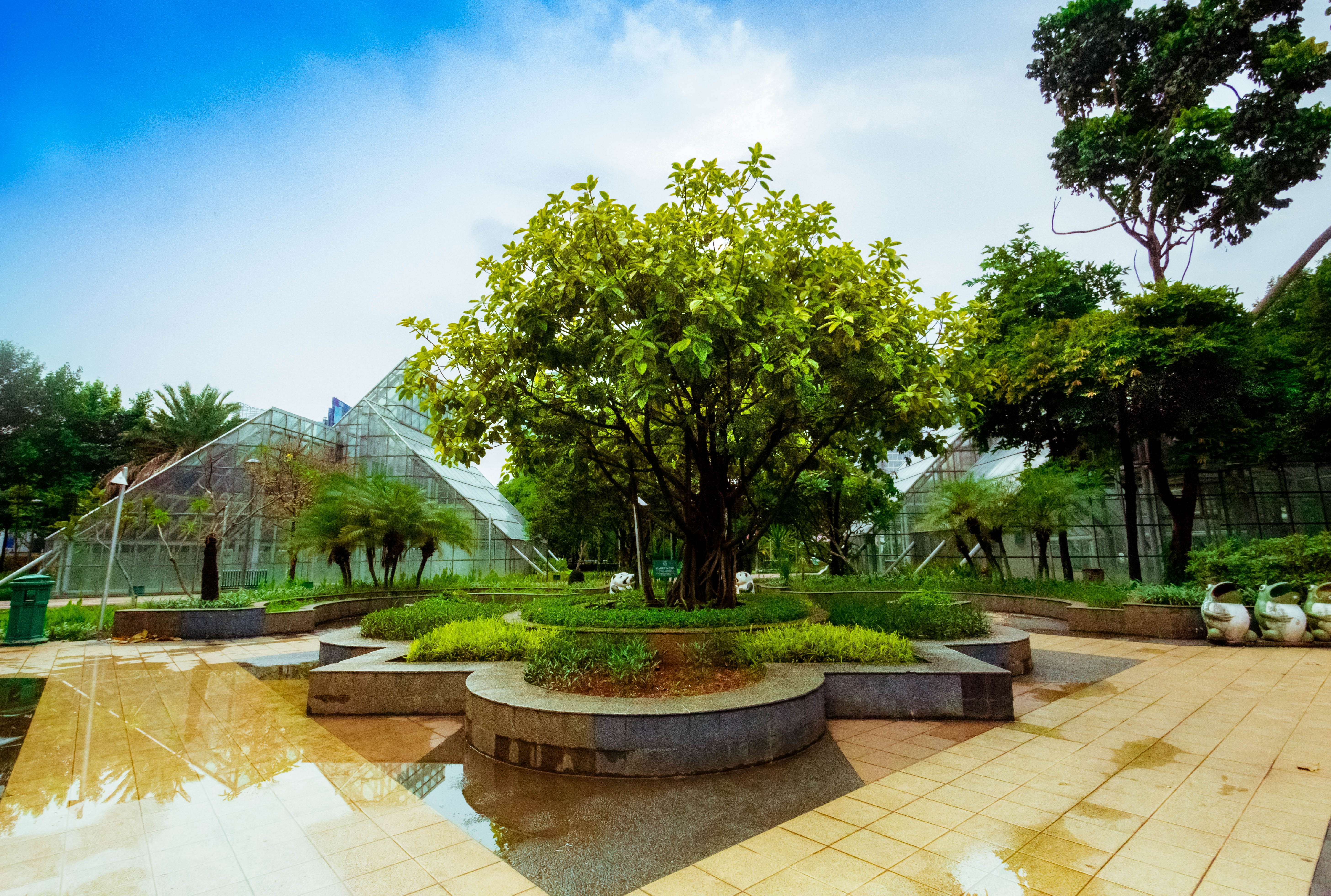 Have fun at Menteng Park