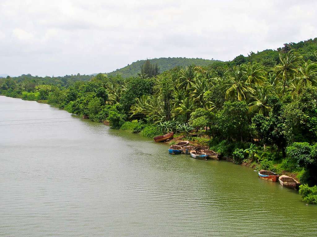 Explore Dhamapur Lake