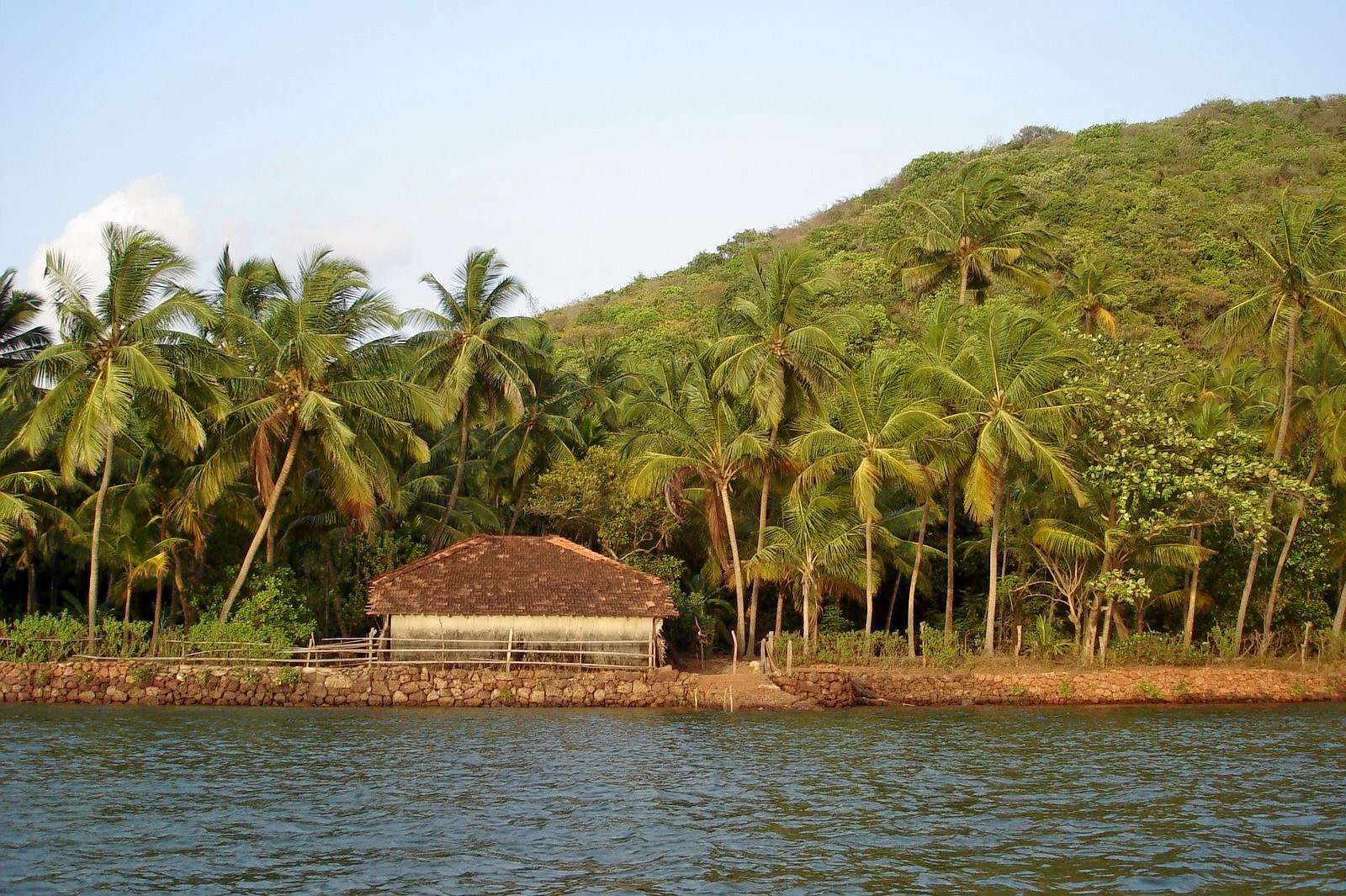 Visit Karli Backwaters