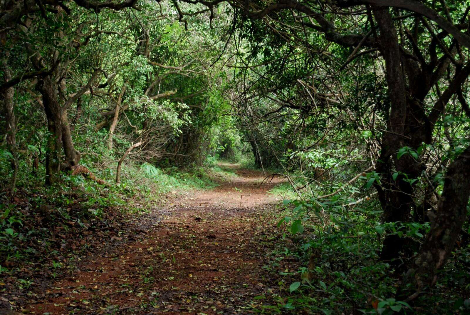 Trekking to Phansad Sanctuary
