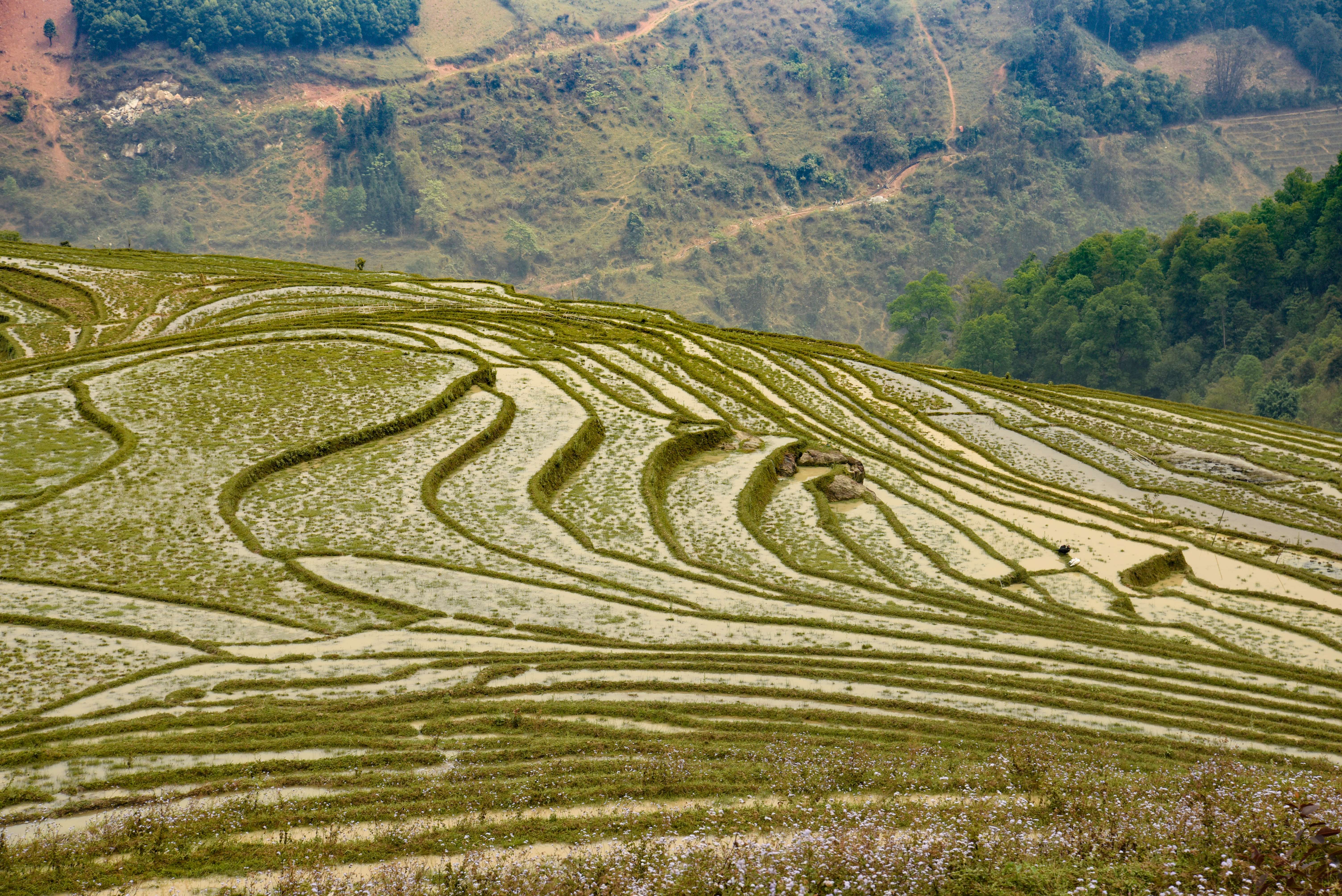 Hoang Lien National Park
