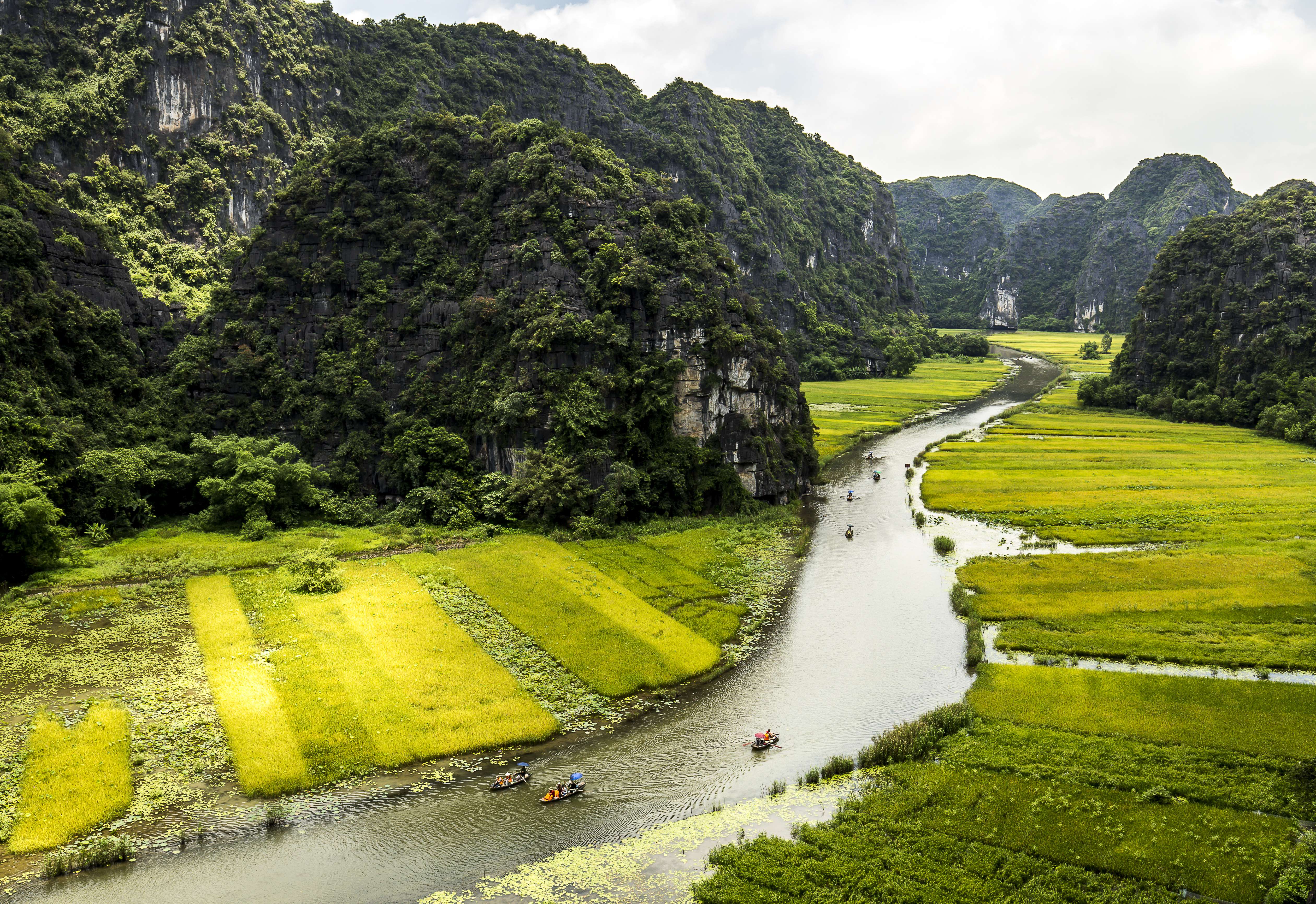 Sail Through the Tam Coc rice Fields