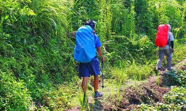 Hike to Alagalla Mountain Range 