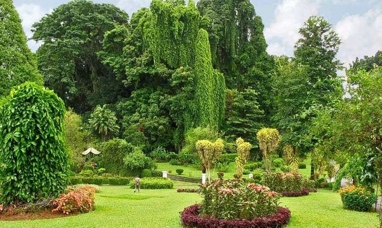 Take a Visit to Spice Garden