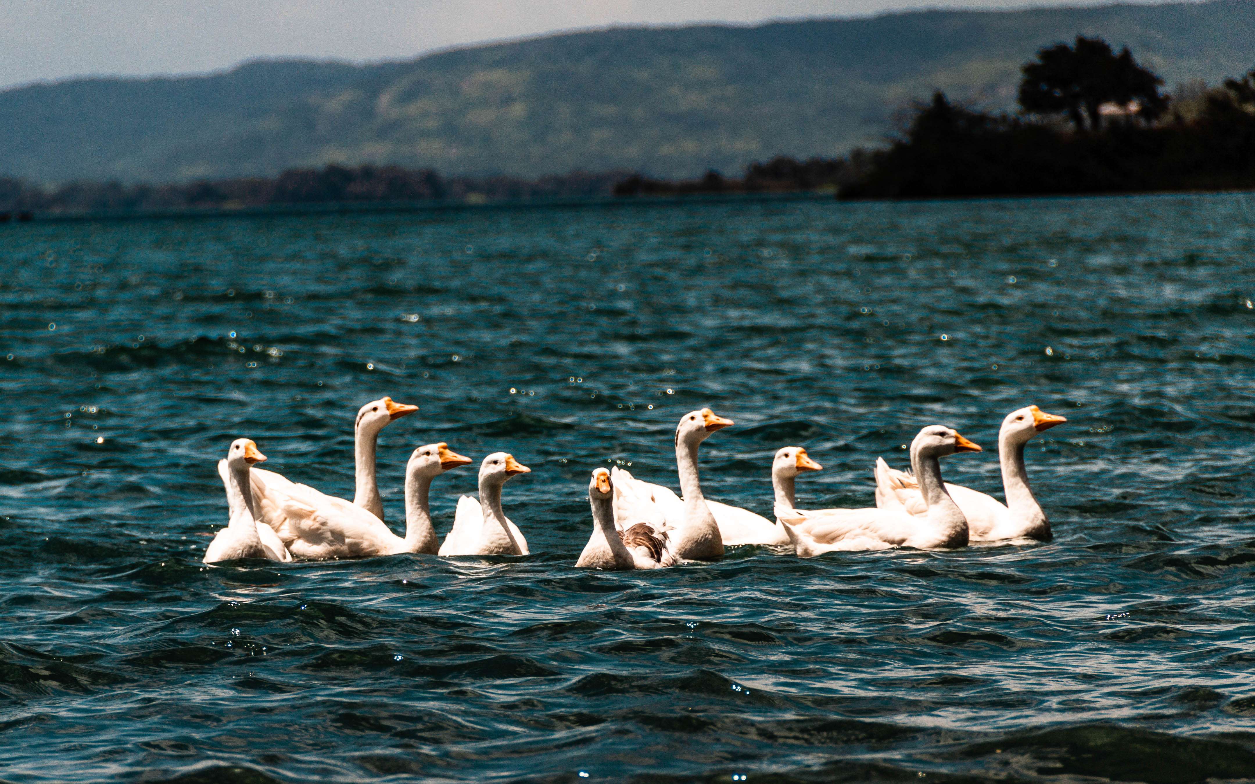 20 Best 4-Star Resorts in Lonavala, Book Now & Get 50% Off