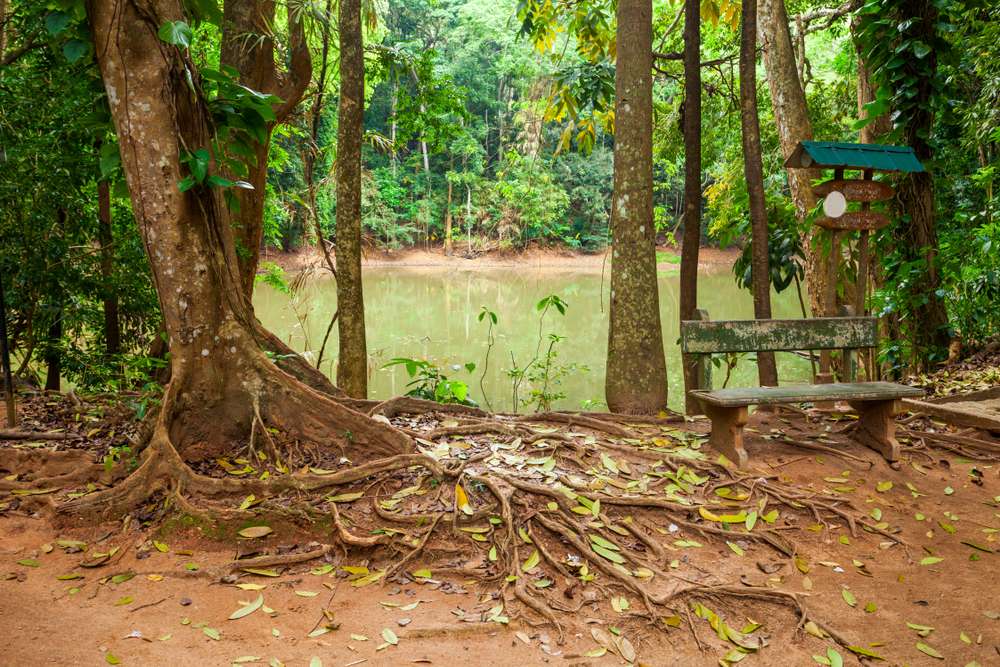 Visit Udawattakele Forest Reserve