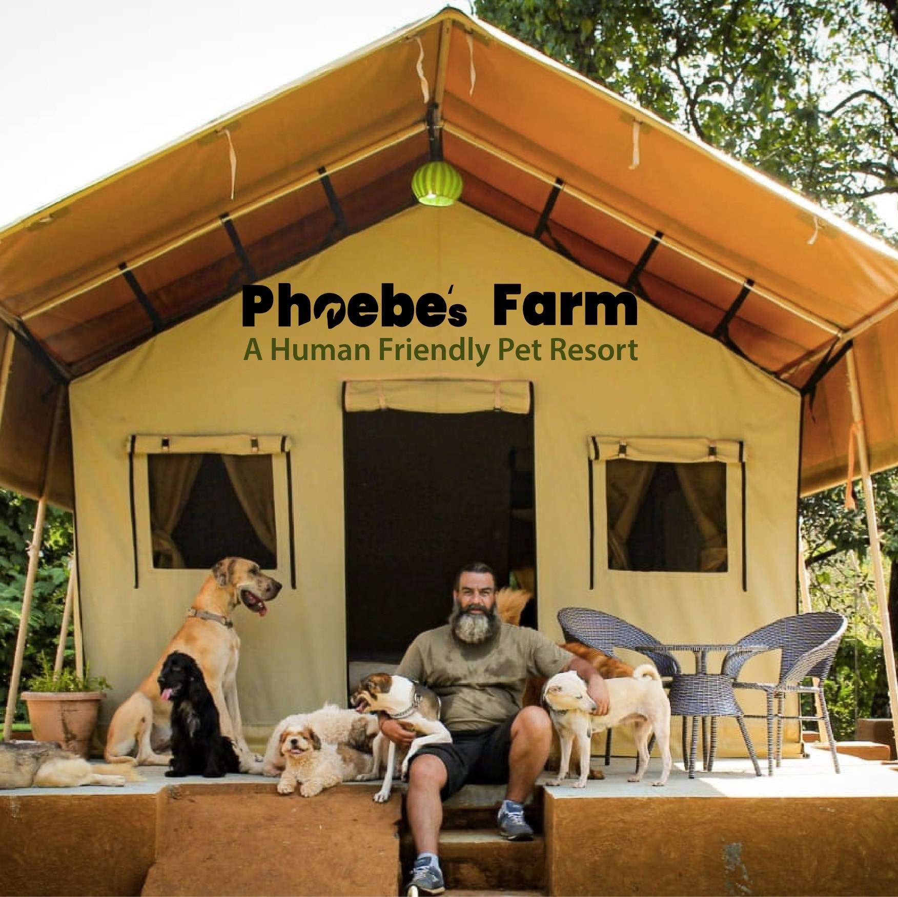 Phoebe’s Farm