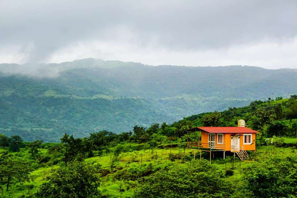 Mango Forest Agro Tourism