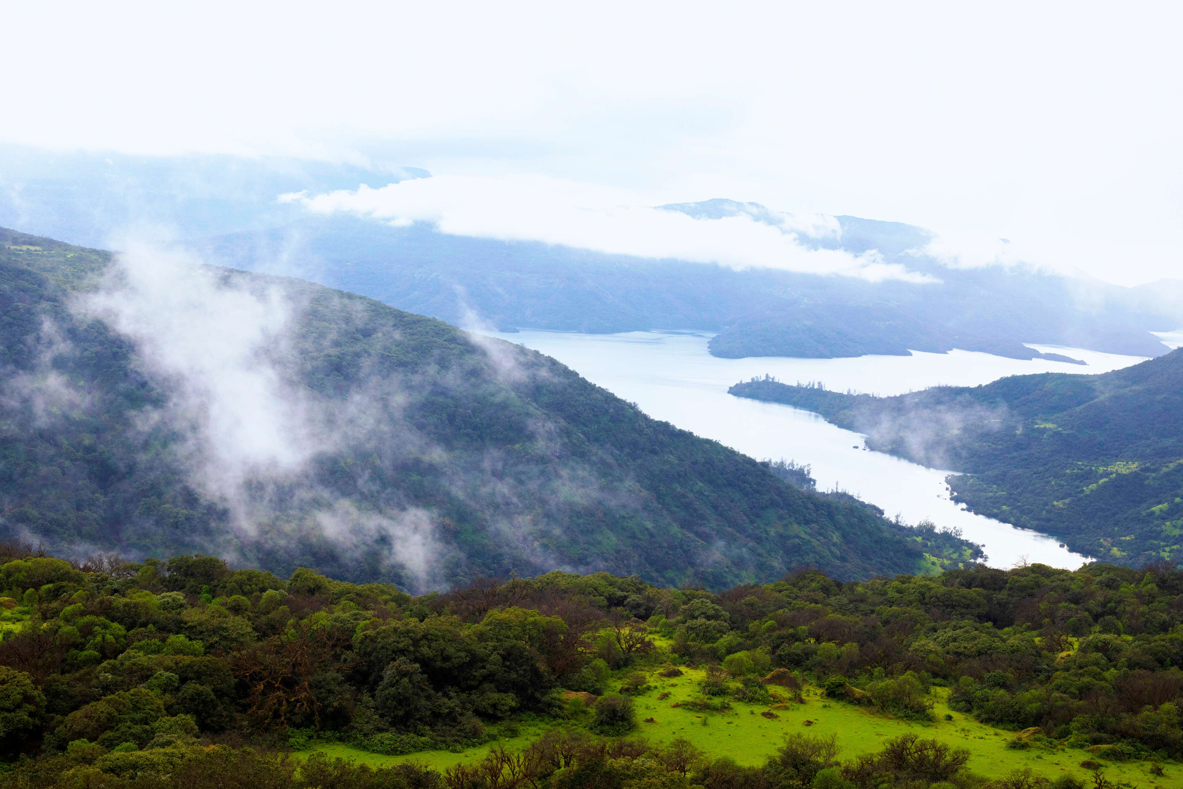 Koyna Wildlife Sanctuary