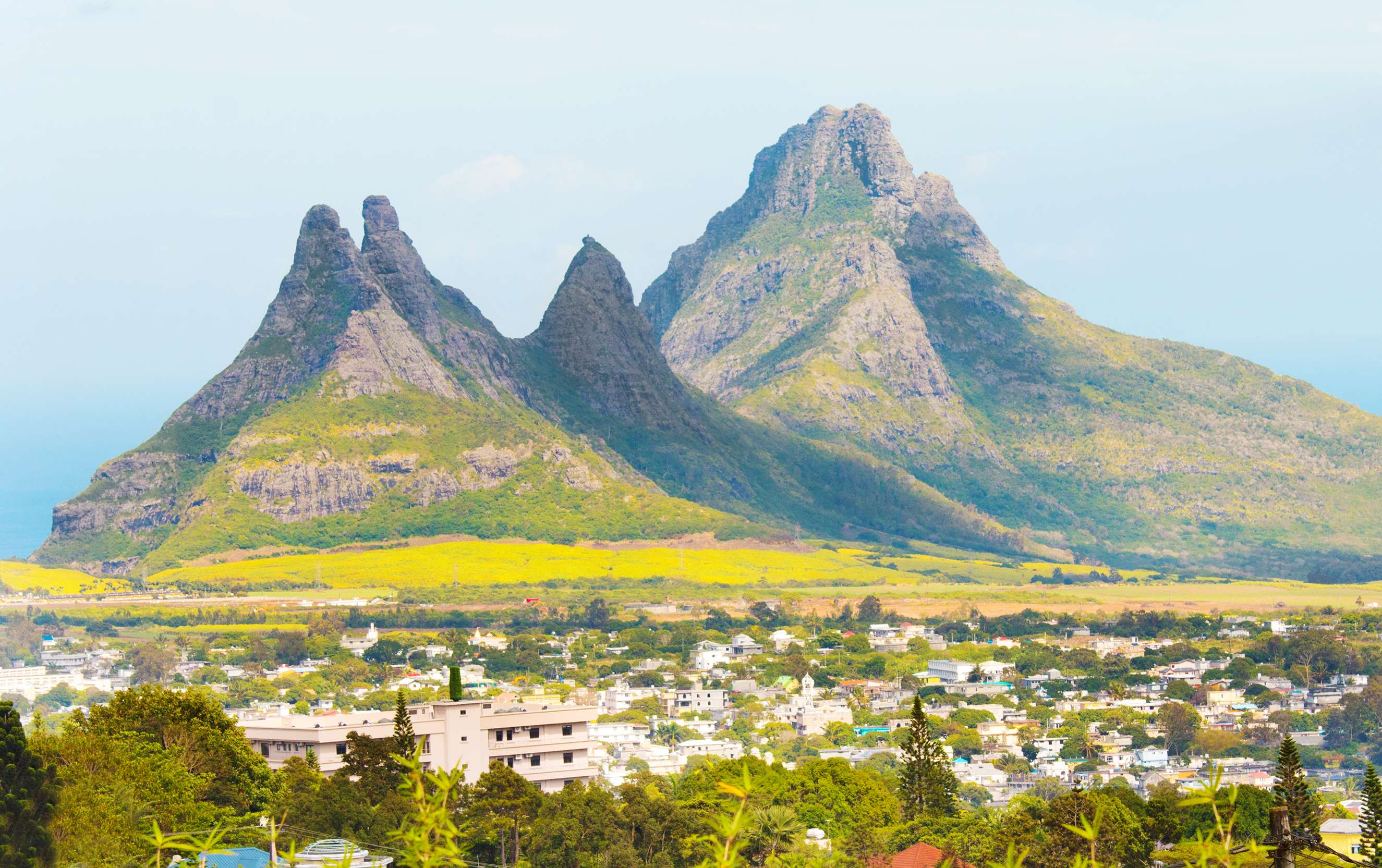 1614063312 shutterstock 357683168