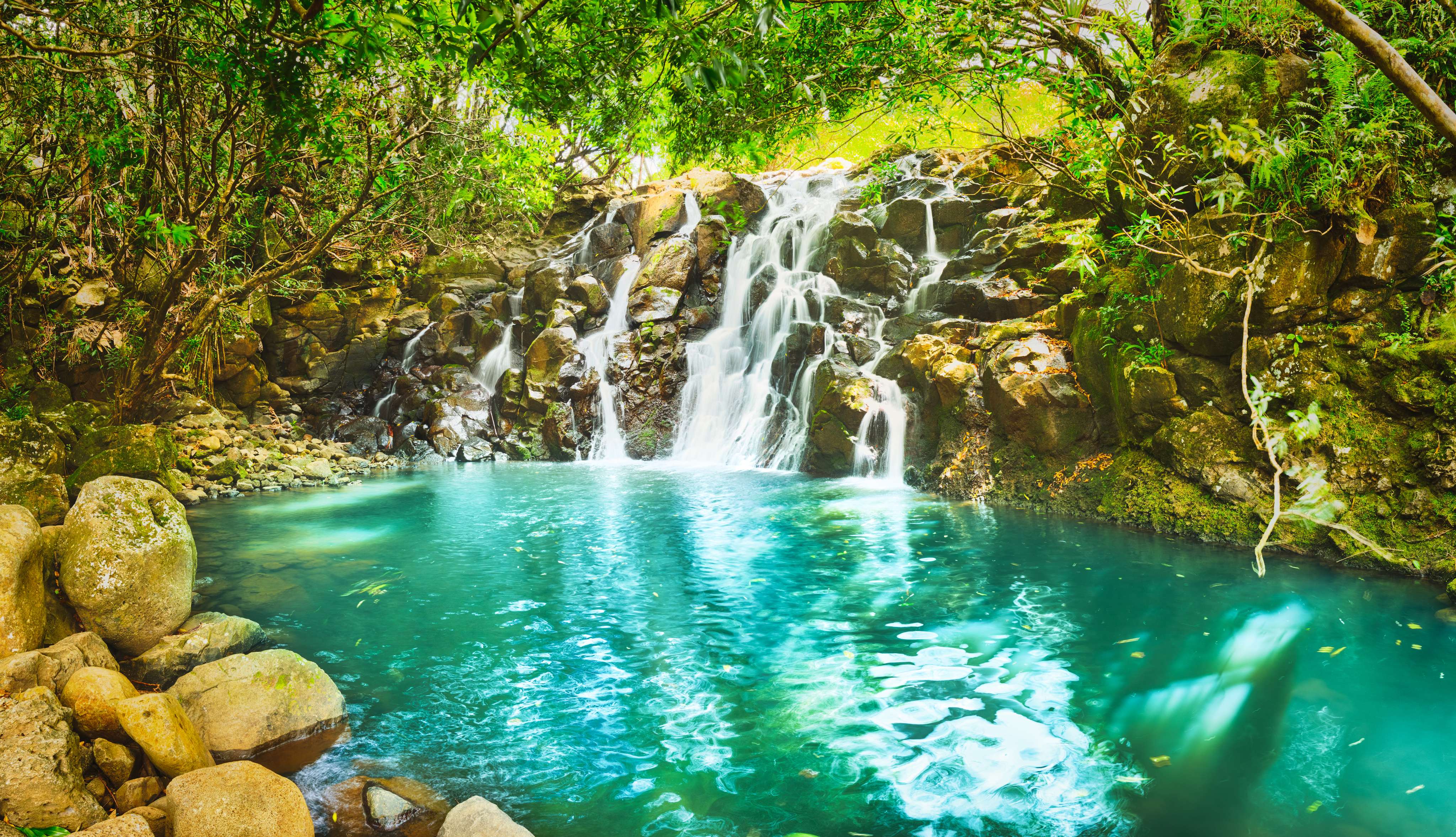 10 Waterfalls In Mauritius Not To Be Missed in {{year}}!