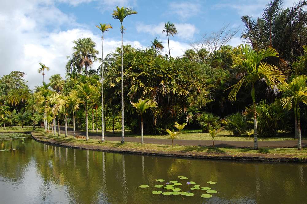 Explore Botanical Gardens