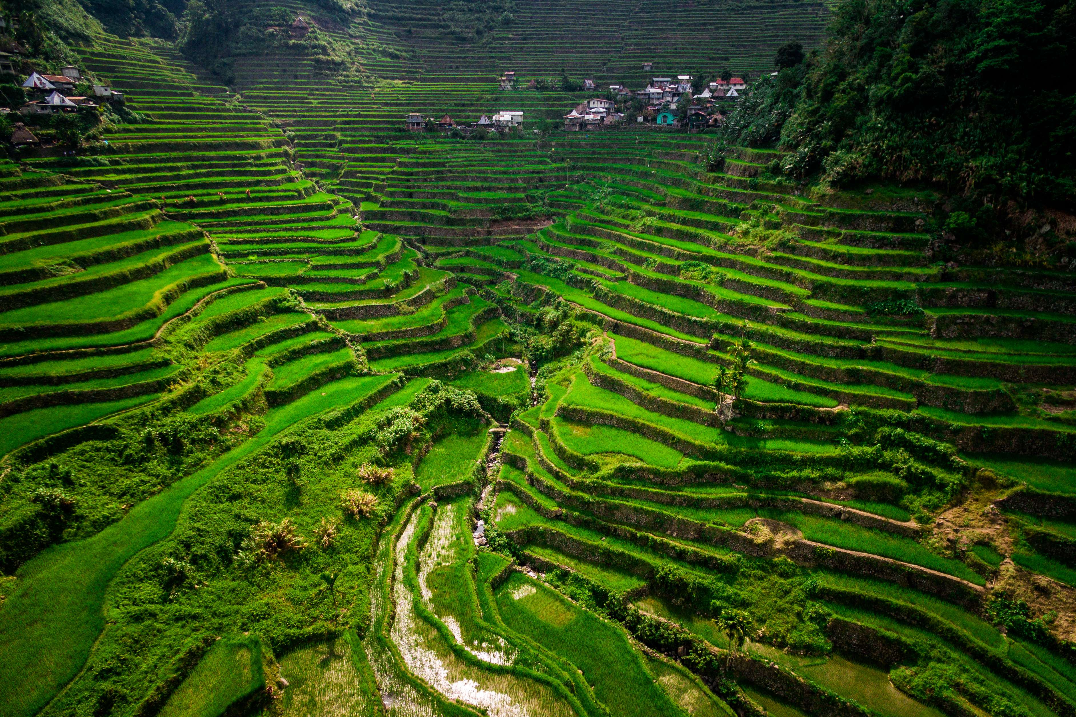 Take a Glimpse at the Batad Rice Terraces