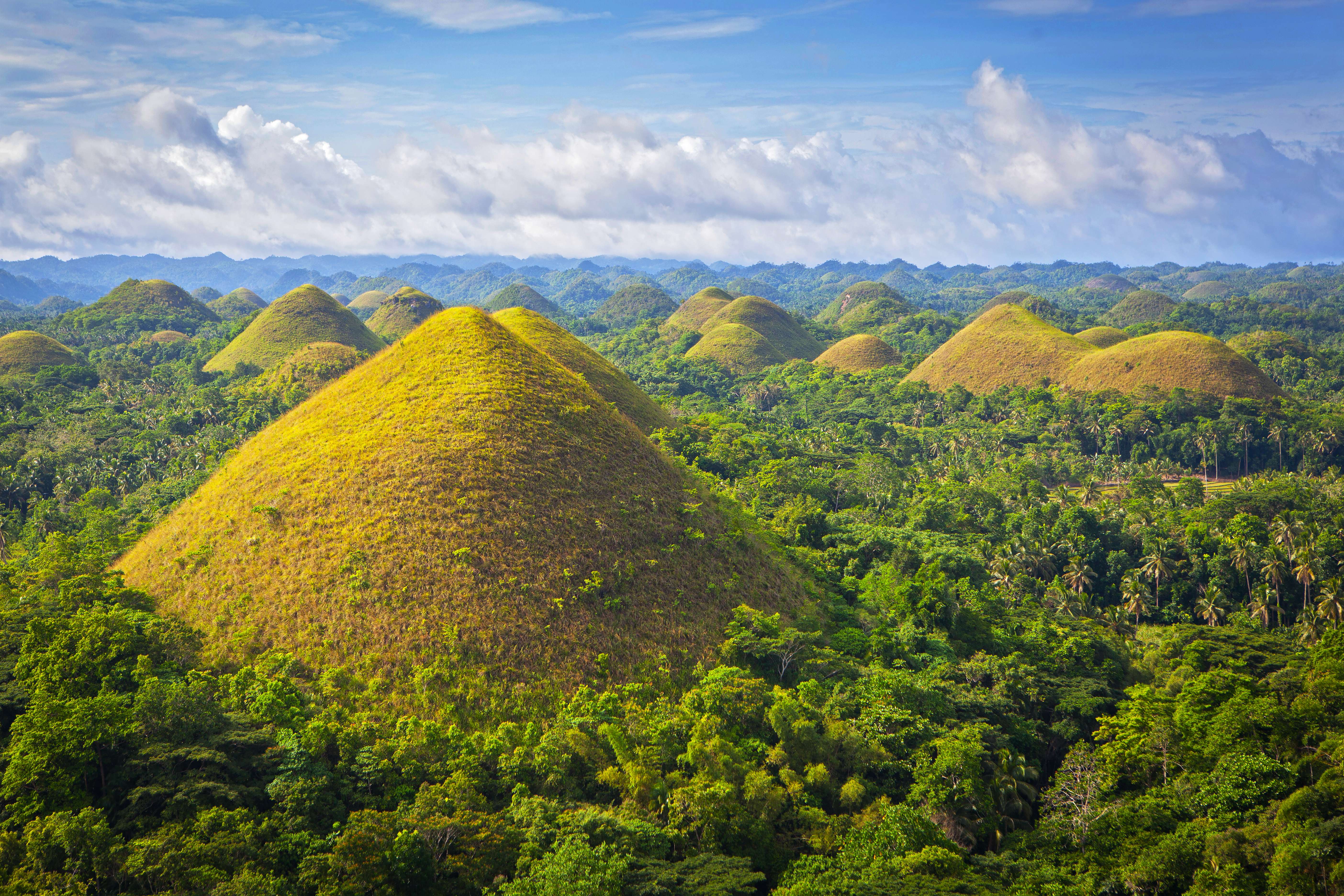 Amaze yourself at the Chocolate Hills