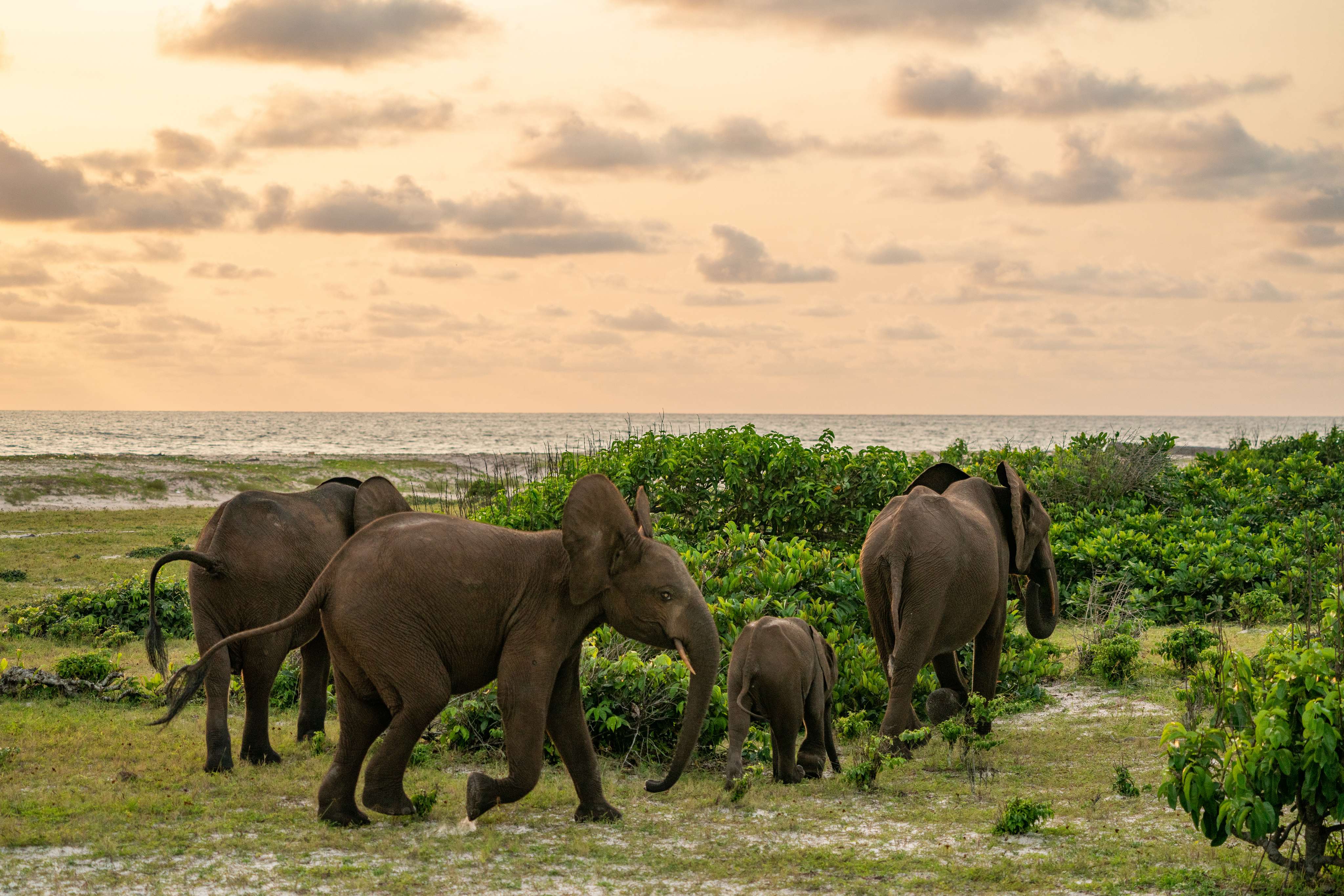 Loango National Park