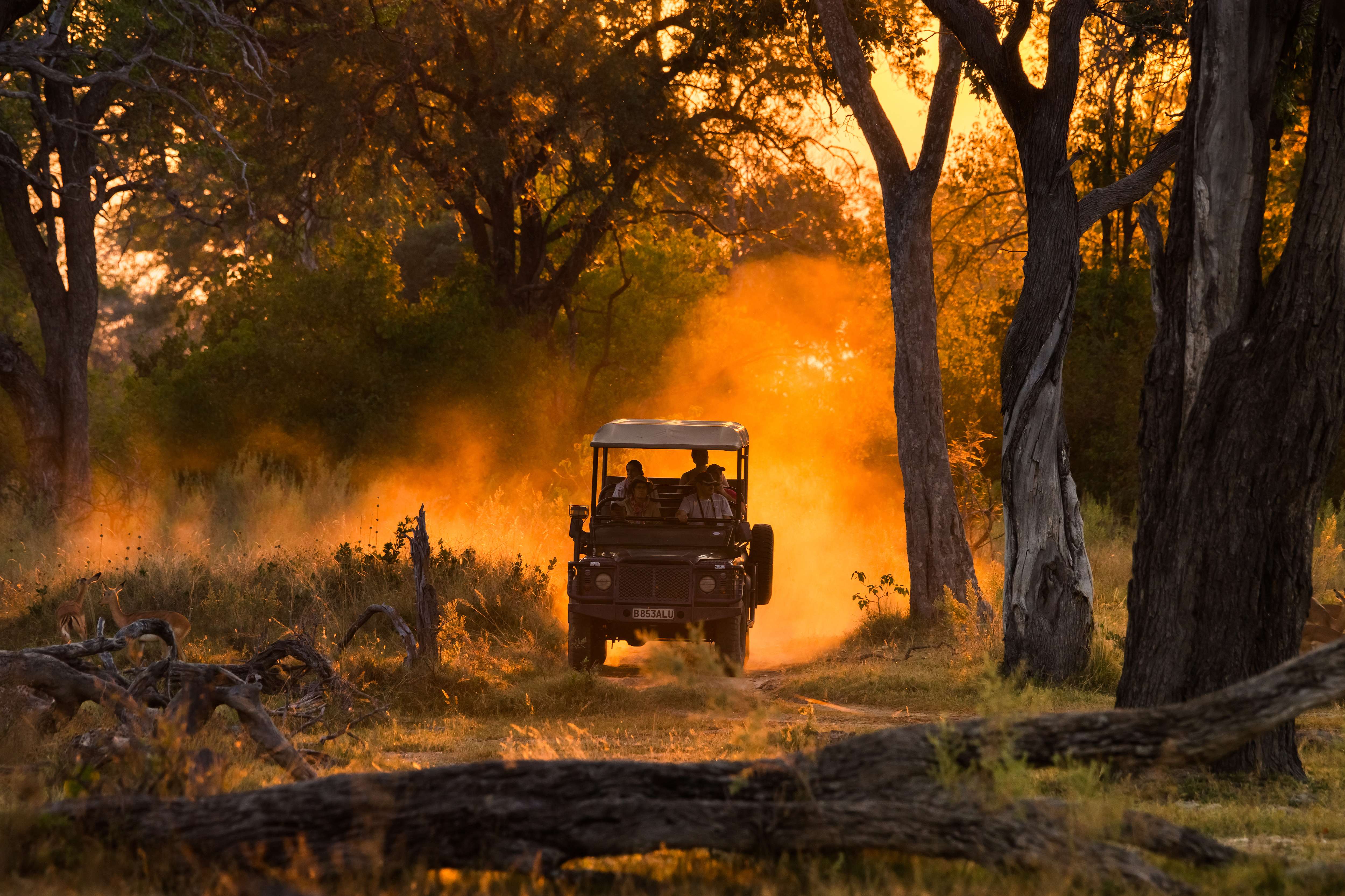 Moremi Game Reserve