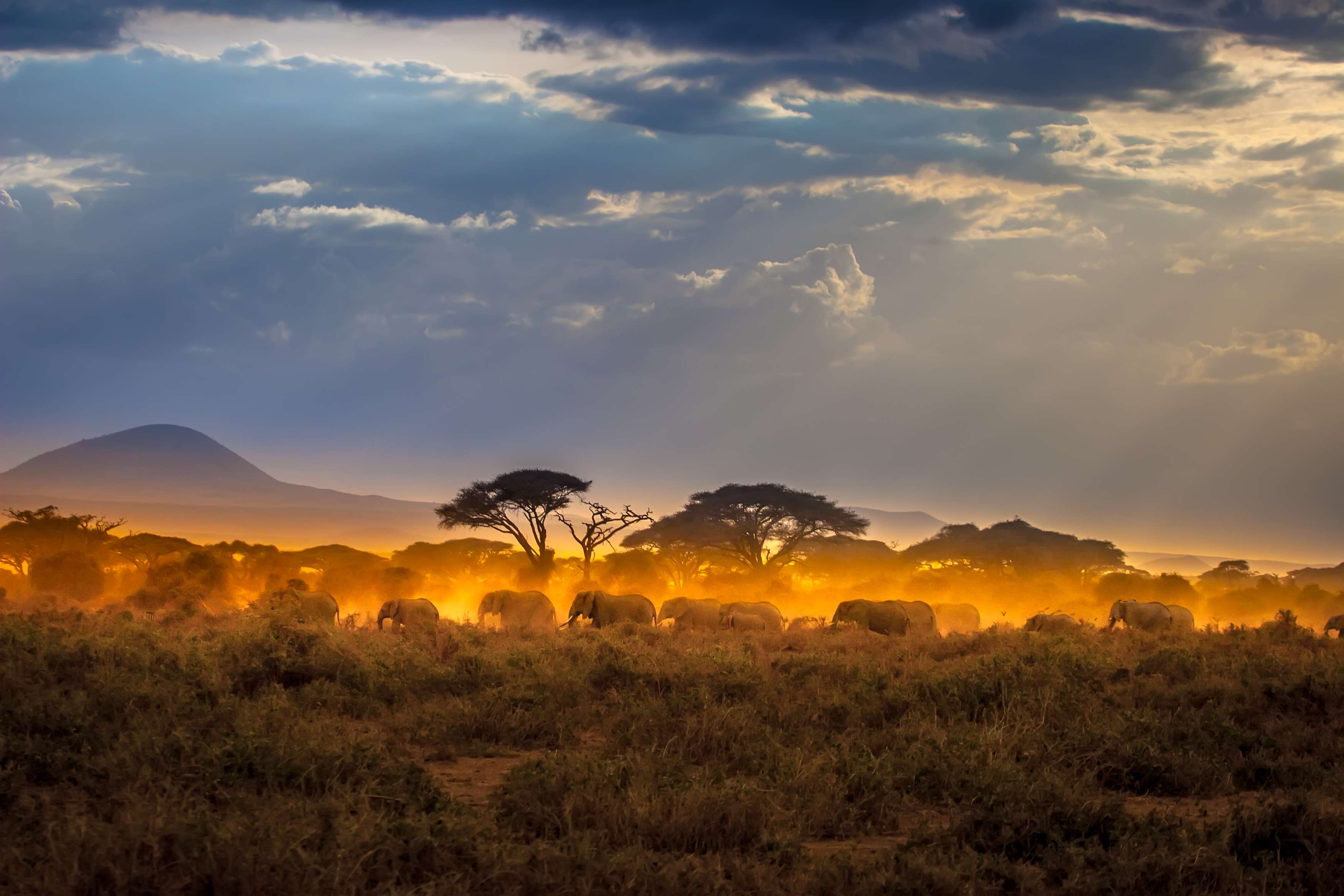 15 Wildlife Sanctuaries in Africa | Wildlife Parks in Africa