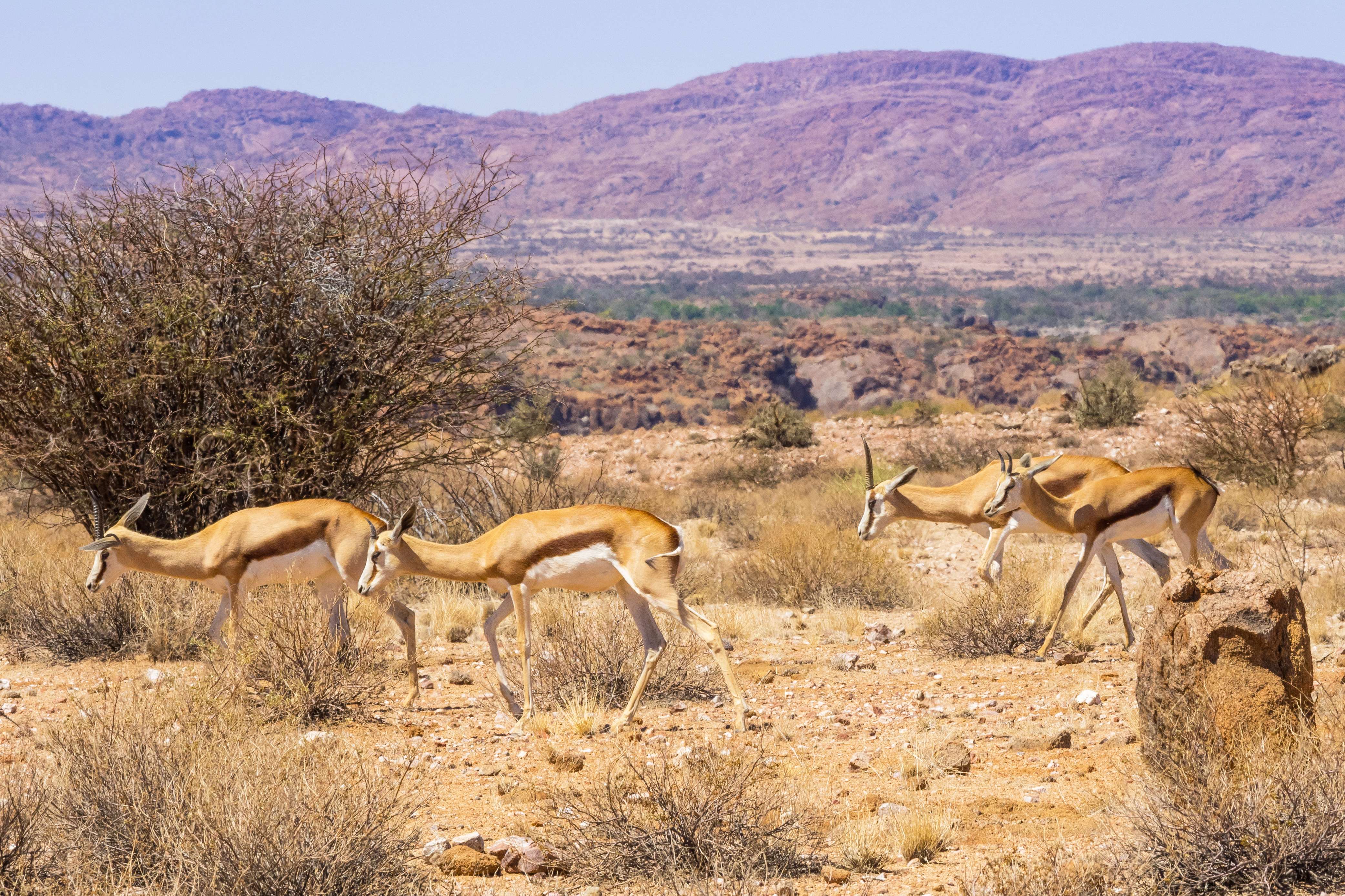 Augrabies Falls National Park