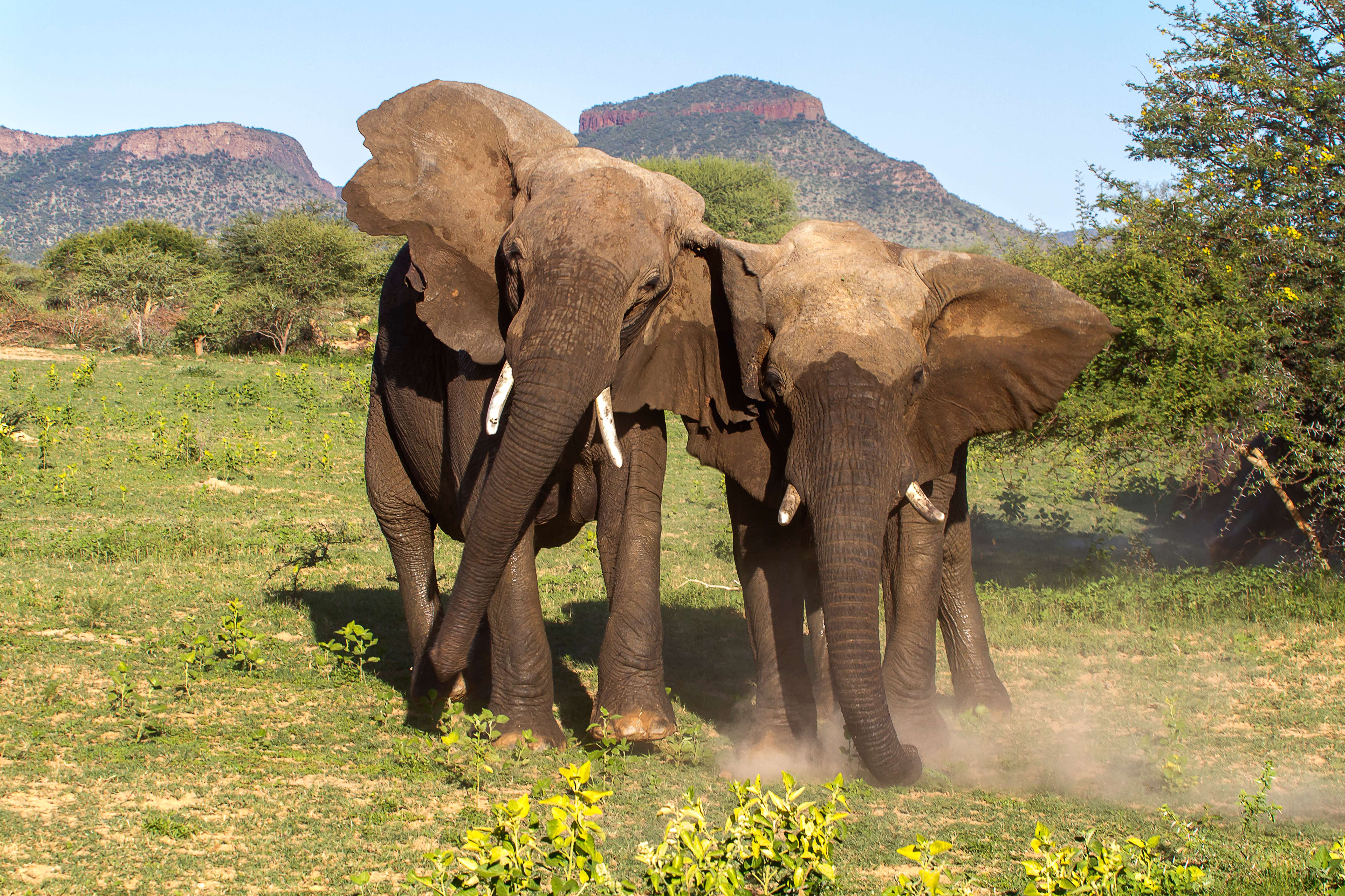 Marakele National Park