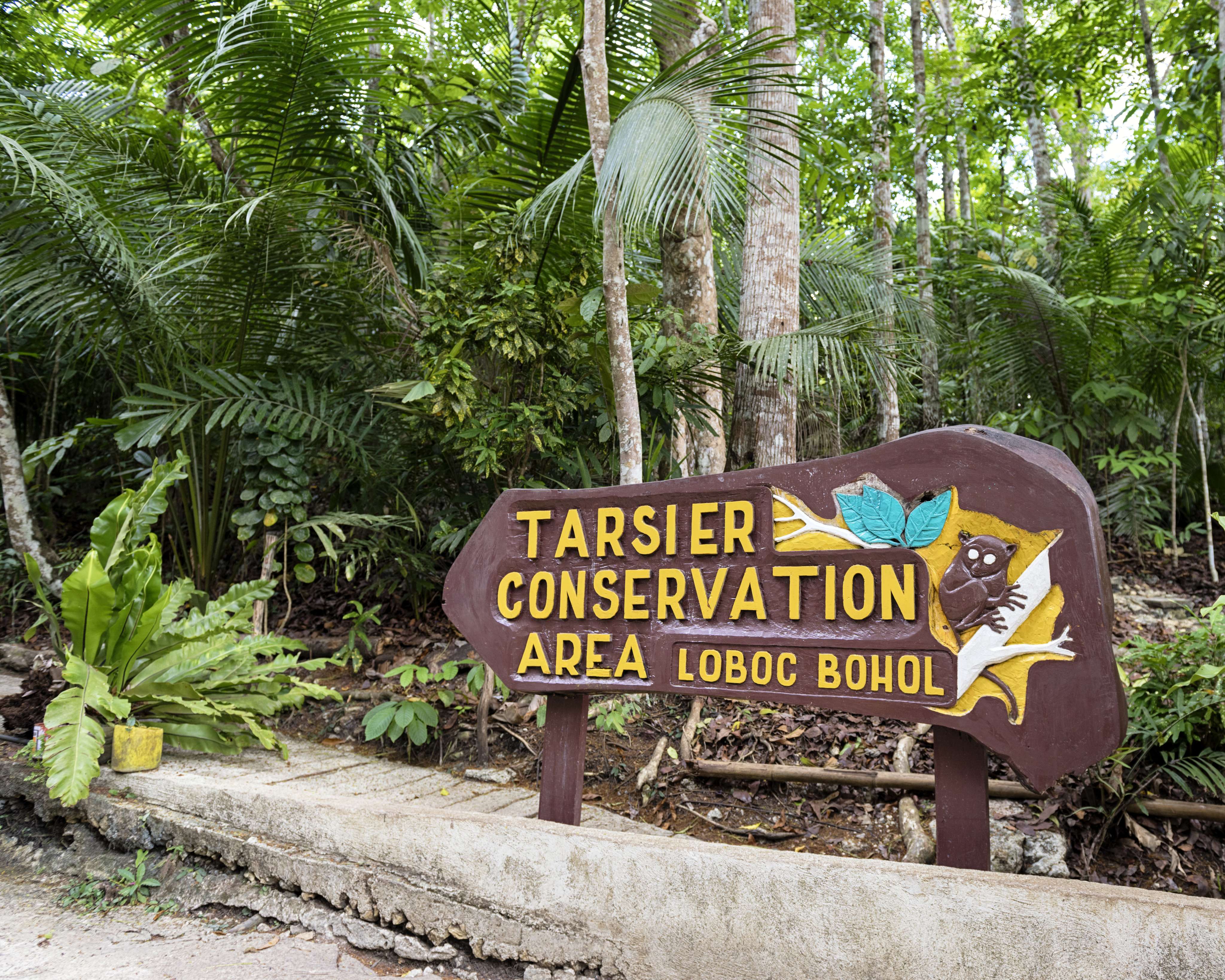 Tarsier Conservation Area