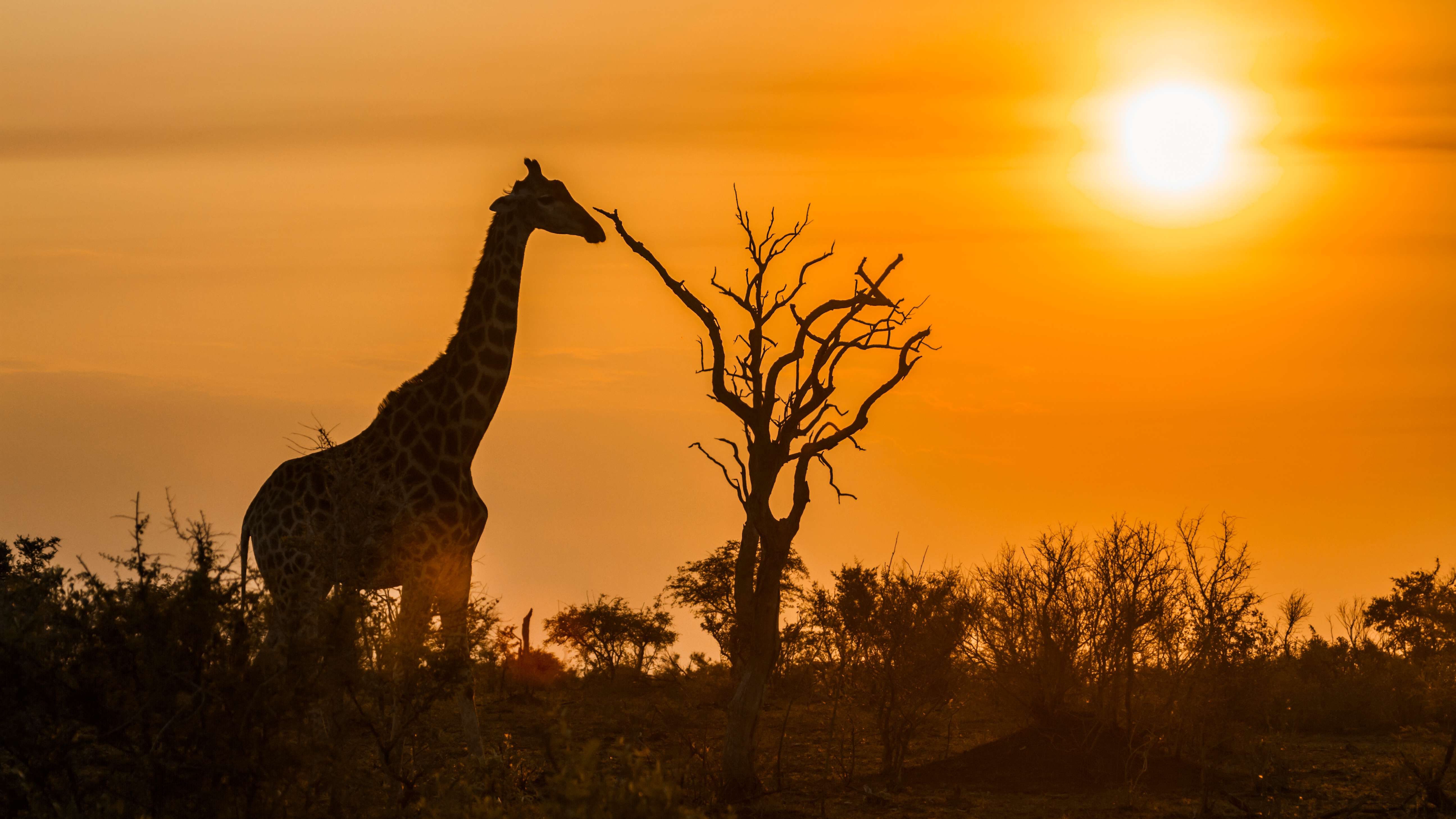 15 National Parks in South Africa: Wildlife Parks in South Africa