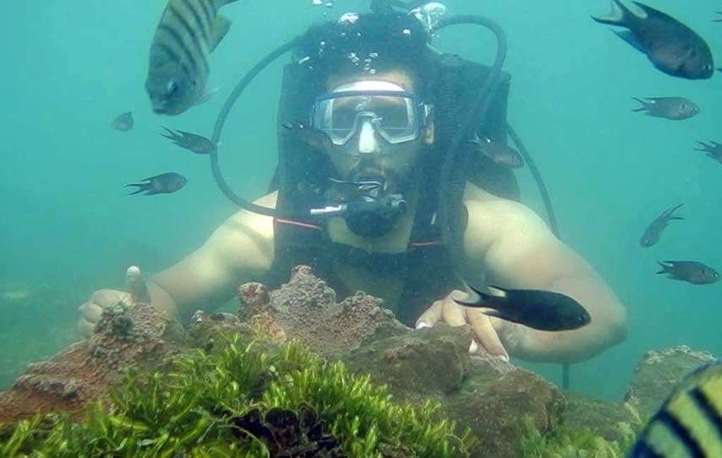Snorkelling in Malvan